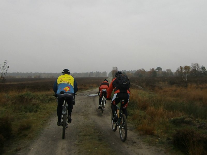 Wilseder Berg 1 2010 019